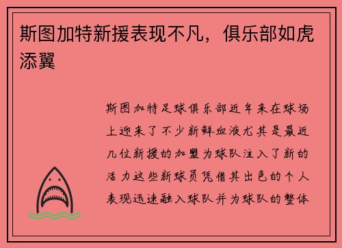 斯图加特新援表现不凡，俱乐部如虎添翼