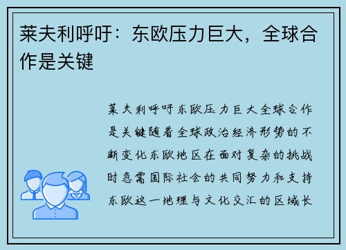 莱夫利呼吁：东欧压力巨大，全球合作是关键